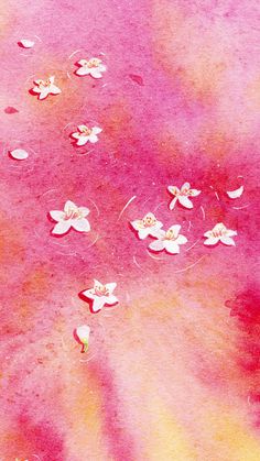 several white flowers floating on top of water with pink and yellow colors in the background