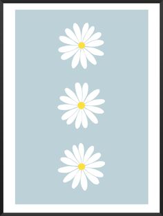 three white daisies against a light blue background