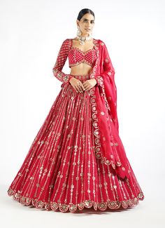 Vvani By Vani Vats-Crimson Red Small Flower Linear Lehenga Set-INDIASPOPUP.COM Zari Lehenga, Vani Vats, Lehenga And Blouse, Lehenga Dupatta, Mirror Work Blouse, Floral Mirror, Organza Blouse, Red Lehenga, Red Embroidery