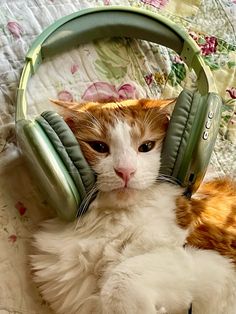 an orange and white cat with headphones on