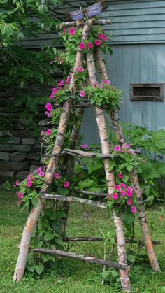 a wooden ladder with flowers growing on it