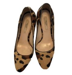 PRADA women's leopard print Pumps in brown size 5.5 - 35.5 platform dress shoes  | eBay Leopard Print Heels With 4-inch Pointed Toe, Leopard Print Pointed Toe Heels For Evening, Chic Calf Hair Heels With Pointed Toe, Chic Calf Hair Pointed Toe Heels, Luxury Leopard Print Leather Heels, Fitted Leopard Print Closed Toe Heels, Luxury Pointed Toe Leopard Print Heels, Luxury Leopard Print Pointed Toe Heels, Elegant Leopard Print Summer Heels