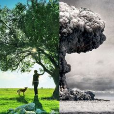 two different pictures one with a dog and the other with an image of a man standing in front of a tree