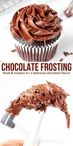 chocolate frosting on top of a cupcake with the words chocolate frosting above it