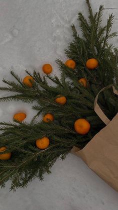 an orange tree in the snow next to a brown paper bag filled with oranges