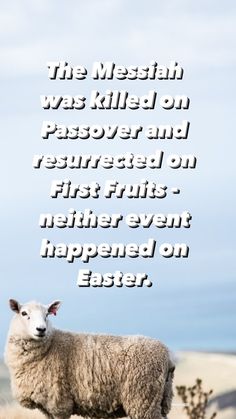 a sheep standing on top of a dry grass covered field next to an easter message