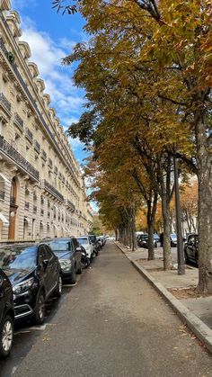 cars parked on the side of a street next to tall buildings and trees with autumn leaves