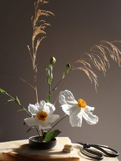 white flowers in a black vase on a table next to scissors and hairbrushes