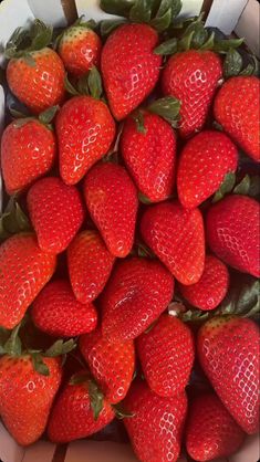 a bunch of strawberries in a white container