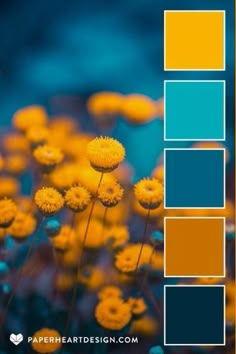 yellow flowers with blue and orange squares in the middle, on top of each other