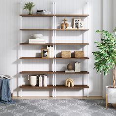 a living room filled with furniture and a potted plant on top of a wooden shelf