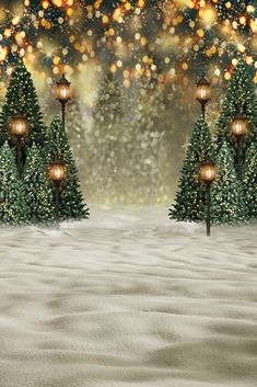 Christmas Trees Outdoor Backdrops Snowy Background for Photo Shoot G-1441 Christmas Picture Background, Christmas Tree Photoshoot, Christmas Photo Background, Christmas Background Photography, Background For Photo, Snowy Background, Christmas Backdrops For Photography, Outdoor Backdrops, Christmas Party Photo