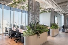 an office with large windows and plants on the desks