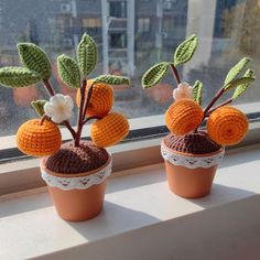 two crocheted potted plants sitting on top of a window sill next to each other