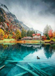 there is a duck swimming in the water near some mountains and trees with fall colors