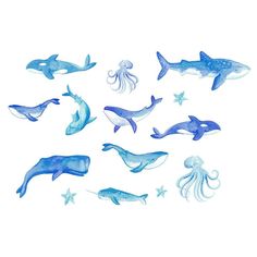 a group of blue and white sea animals