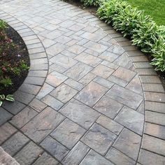 a brick walkway in the middle of a garden