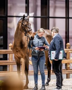 two people standing next to a brown horse