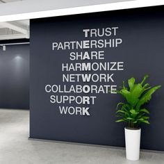 a plant in a white vase next to a black wall with words written on it