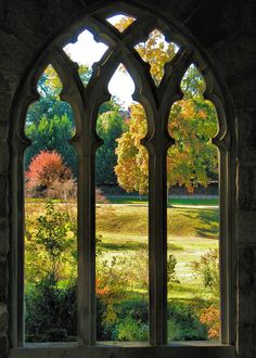 an arched window in a stone building with autumn foliage seen through the window panes