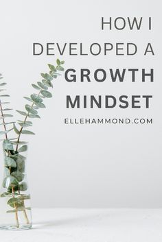 a plant in a glass vase with the words how i developed a growth mindset