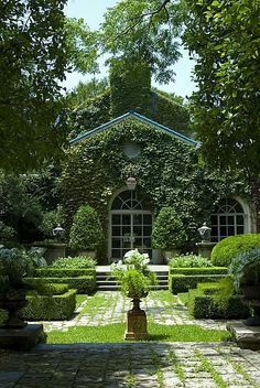 an outdoor garden area with hedges and potted plants