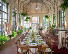 an indoor dining room with tables and chairs set for a formal meal or dinner, surrounded by potted plants