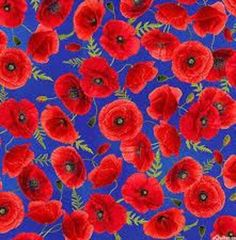 an image of red poppies on blue background