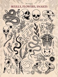 skulls, flowers, snakes and other tattoos