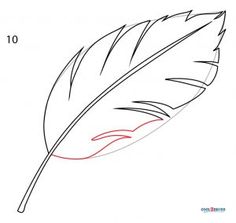 a drawing of a feather with the number 10 on it's side and an image of