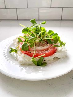 a white plate topped with tomatoes, lettuce and other toppings on top of it