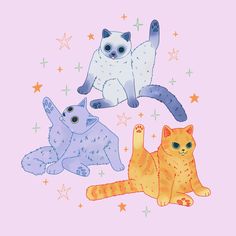 three cats are sitting on the ground with stars around them