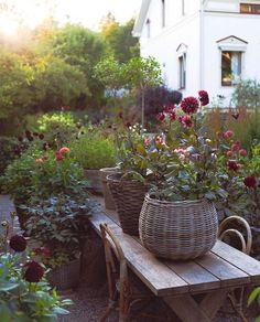 a wooden table topped with baskets filled with flowers next to a garden bench covered in potted plants