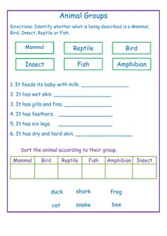 an animal groups worksheet with the words and pictures in it, including fish