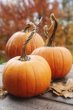 two pumpkins sitting on top of a wooden table