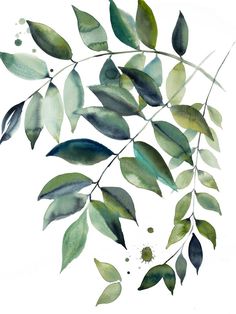 watercolor painting of green leaves on white background