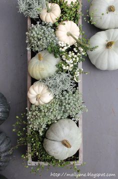 an image of some white pumpkins and flowers