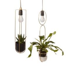 two hanging planters with plants in them, one is black and the other is gold