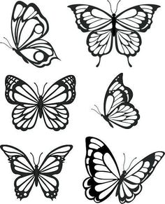 six butterflies with different shapes and sizes