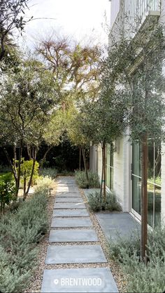 a stone path between two buildings with trees in the background