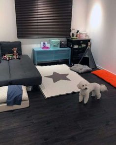 a dog standing in the middle of a living room with black and white rugs