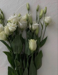 white roses are arranged in a vase on the wall with green leaves and stems around them