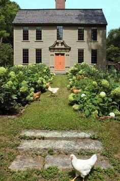 a white chicken is standing in front of a house with flowers and bushes around it