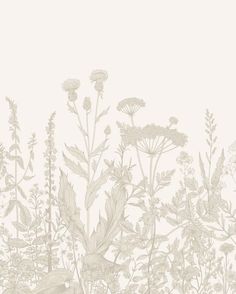 an image of flowers and plants on a white wallpapered background with neutral tones