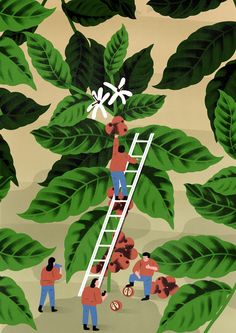 people are climbing up the ladder to plant leaves