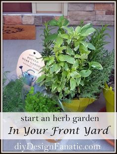 a potted plant sitting on top of a table next to a sign that says start an herb garden in your front yard