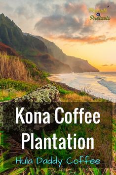 the cover of kona coffee plantation