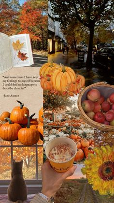 a collage of photos with pumpkins, apples and other fall items in the background