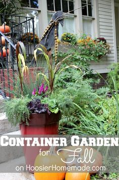 container garden for fall with pumpkins and plants in the foreground text overlay reads container garden for fall on hooster homemade com