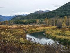 a river running through a lush green forest filled with tall grass and mountains in the distance